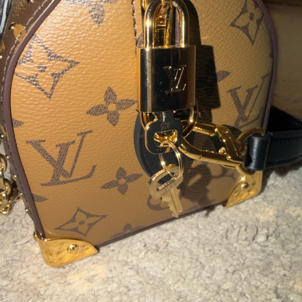 Louis Vuitton Speedy 20 Handbag - Picture 4 of 11